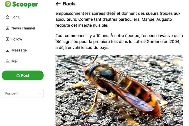 BeeZen Revue de Presse Article Scooper News