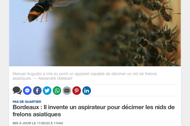 BeeZen Revue de Presse Article 20 Minutes